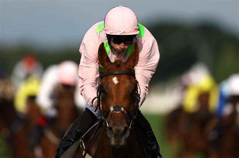 melbourne cup 2023 favourites|Melbourne Cup 2023 fave revealed .